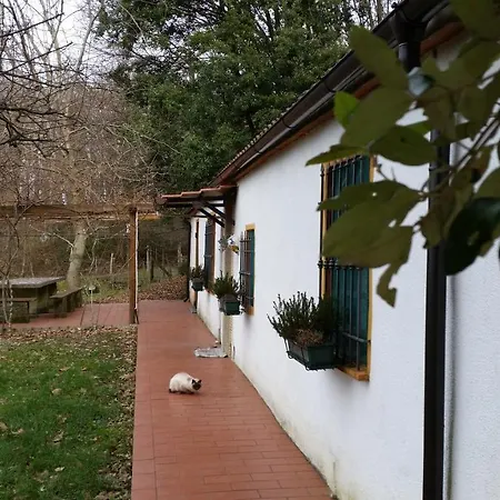 Hébergement de vacances Casetta La Quercia